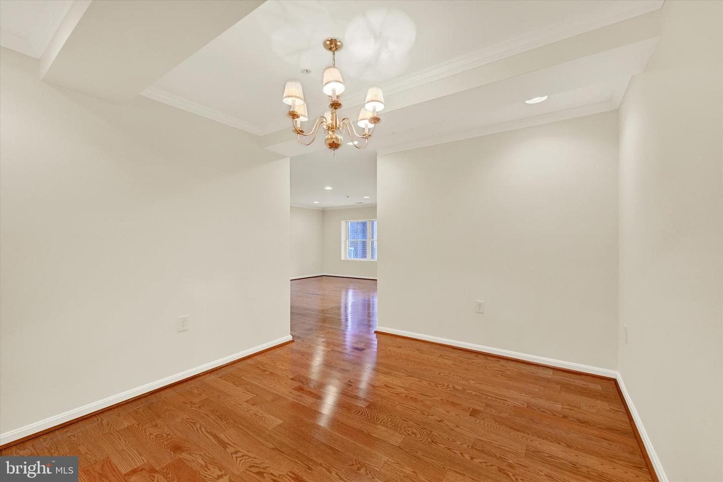 12236 Roundwood Road #104 photo 6