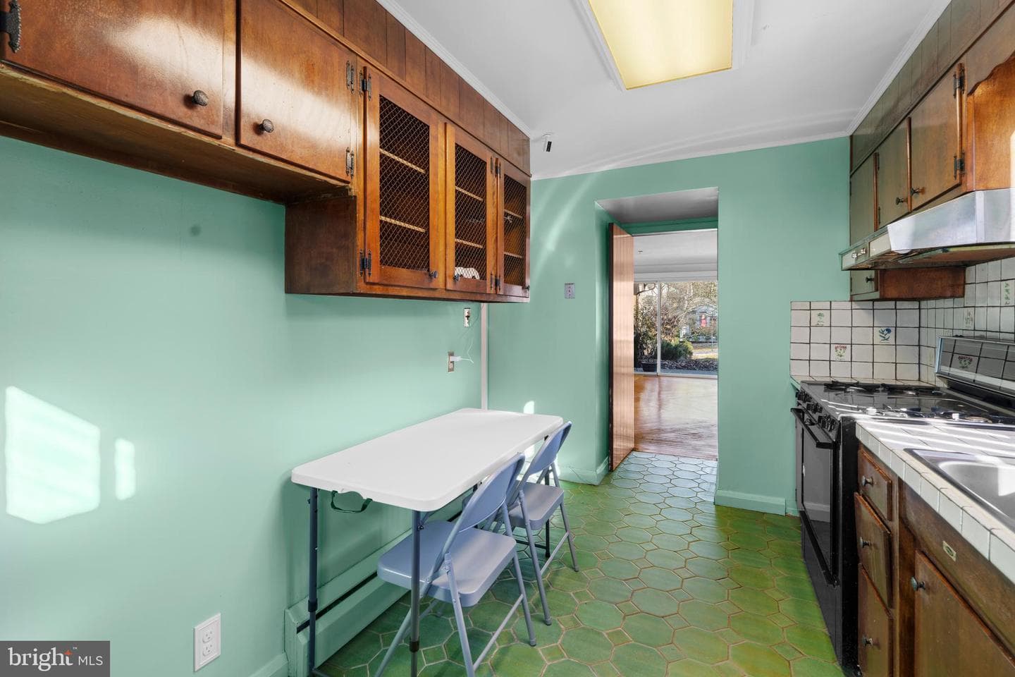1213 Trappe Lane photo 13