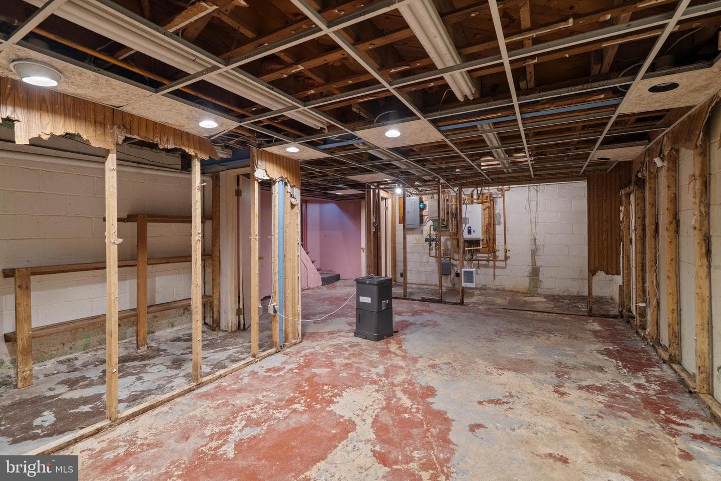 1213 Trappe Lane photo 38