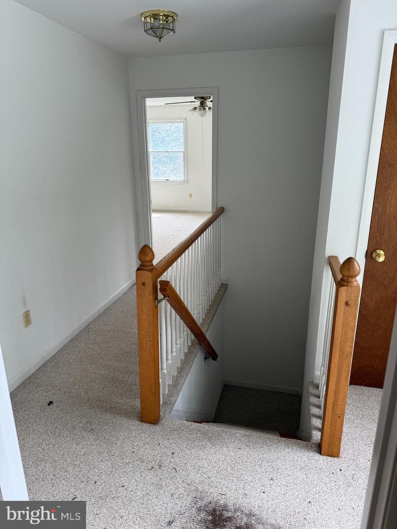 16338 Trenton Road photo 10