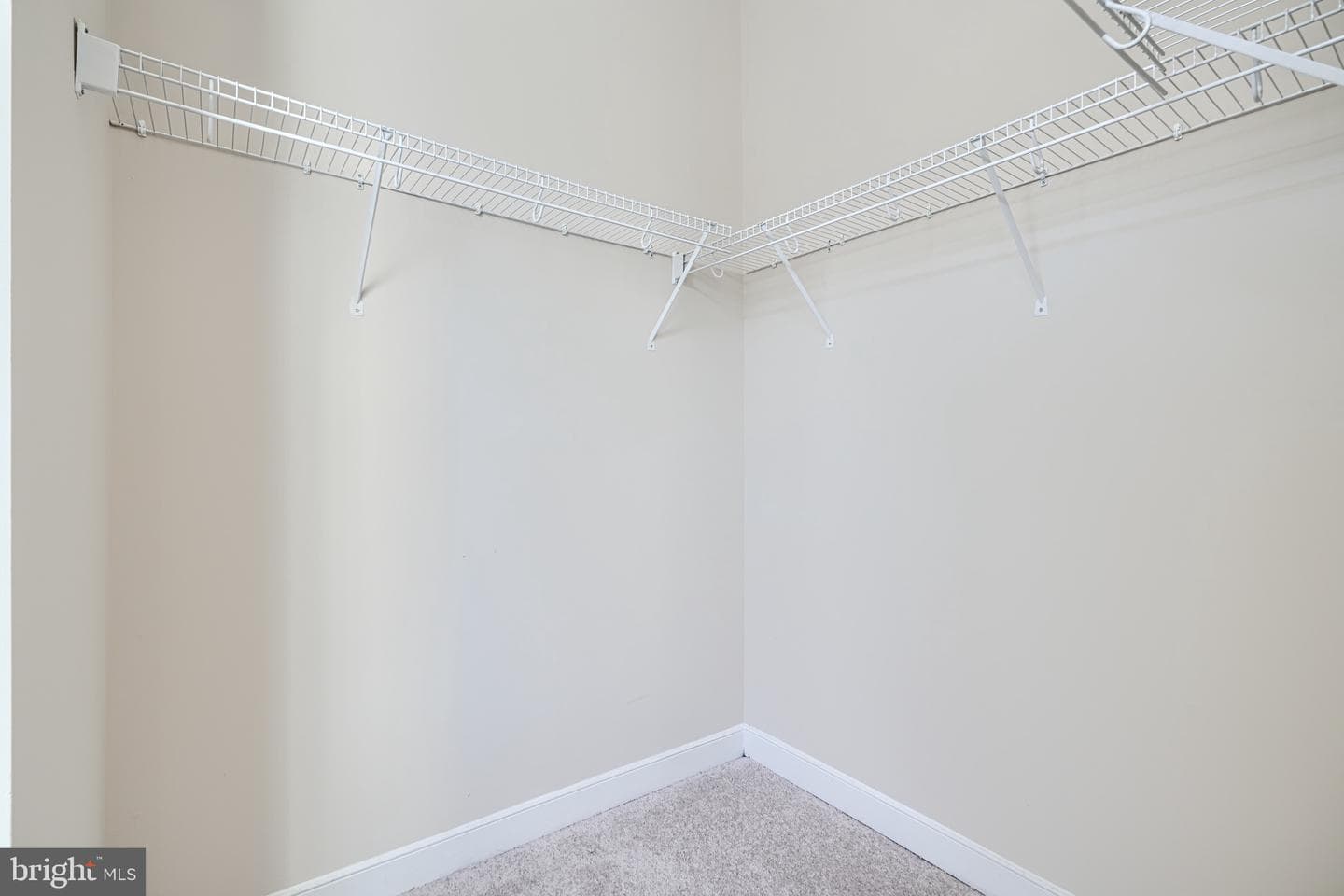 305 Davage Lane photo 35