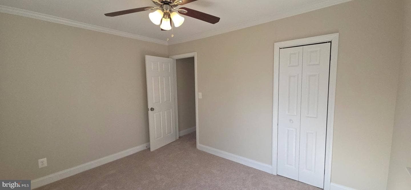 2329 Foster Avenue photo 21
