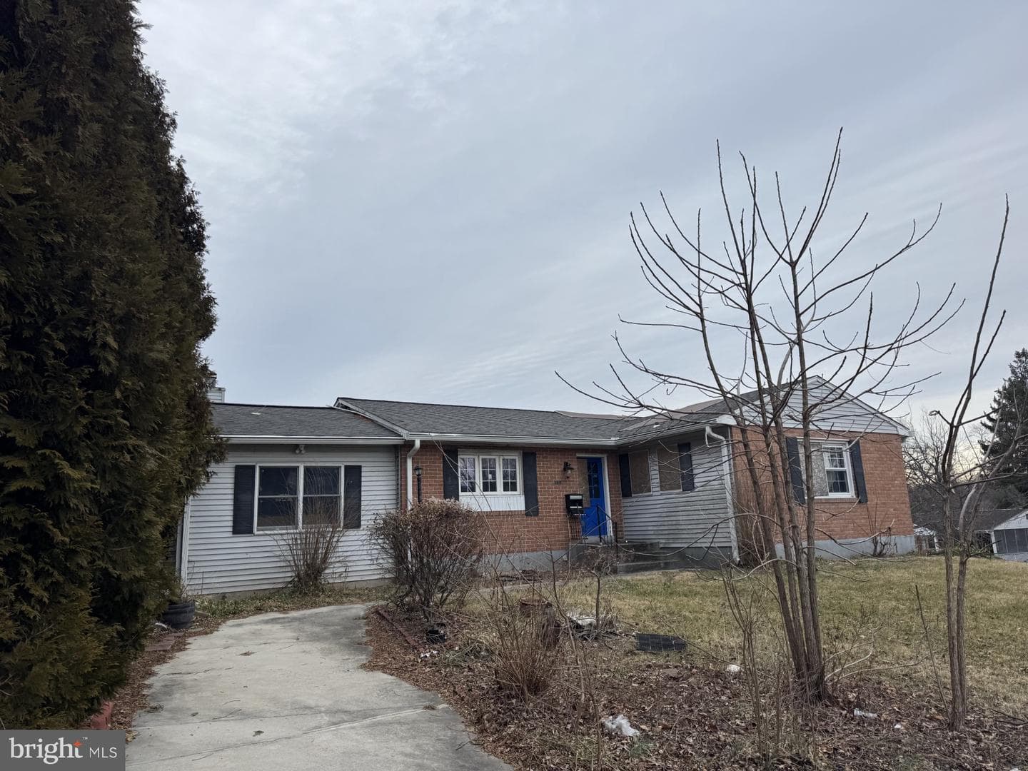 305 Shirley Manor Road photo 2