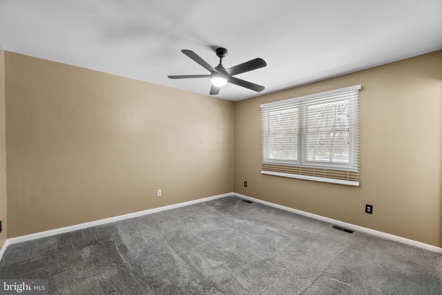241 Cedarmere Circle photo 12
