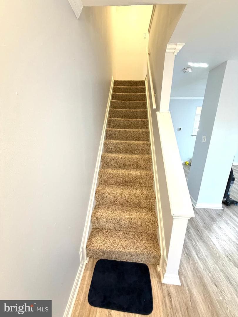 8 Hardwood Drive photo 12