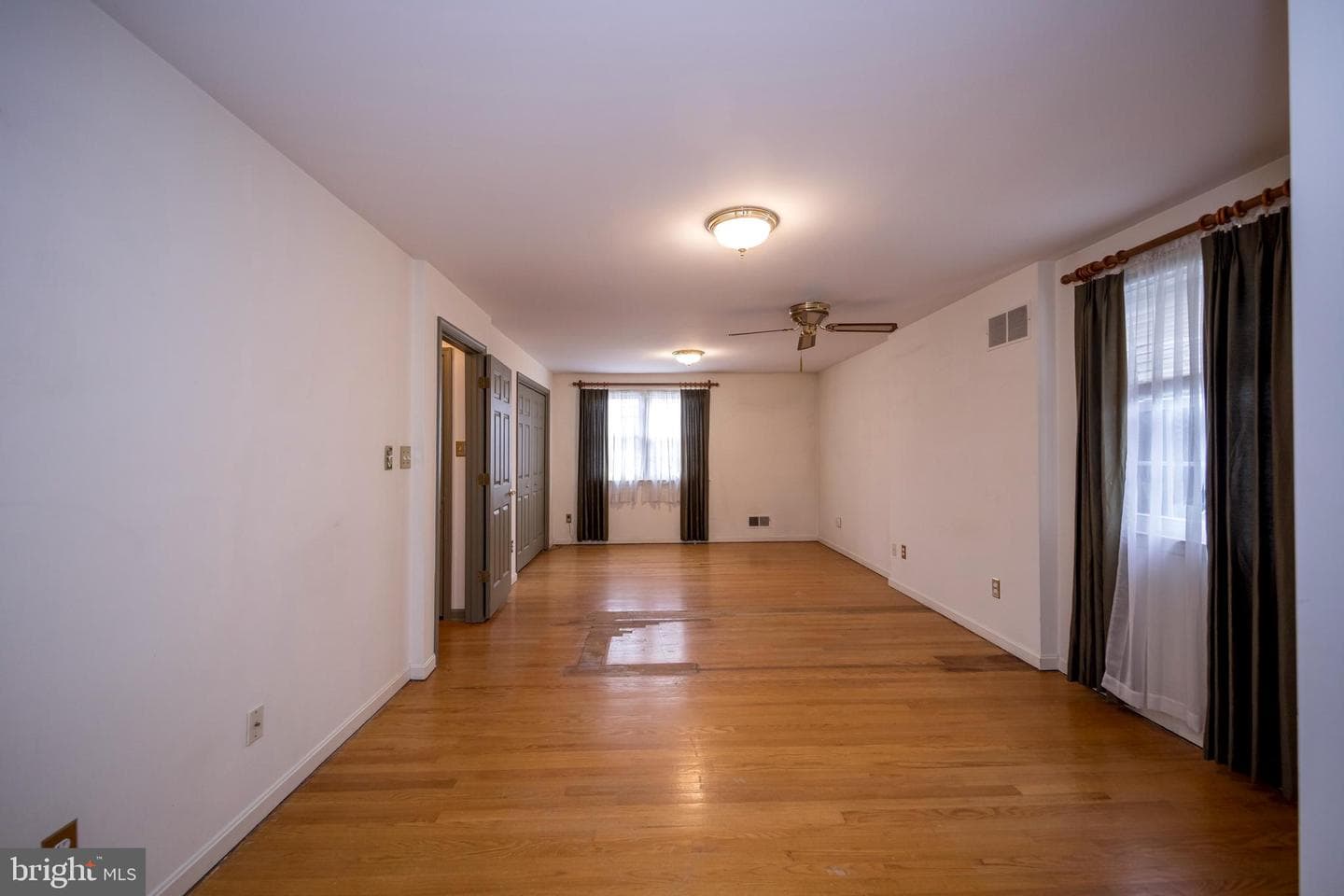 4300 Camellia photo 25
