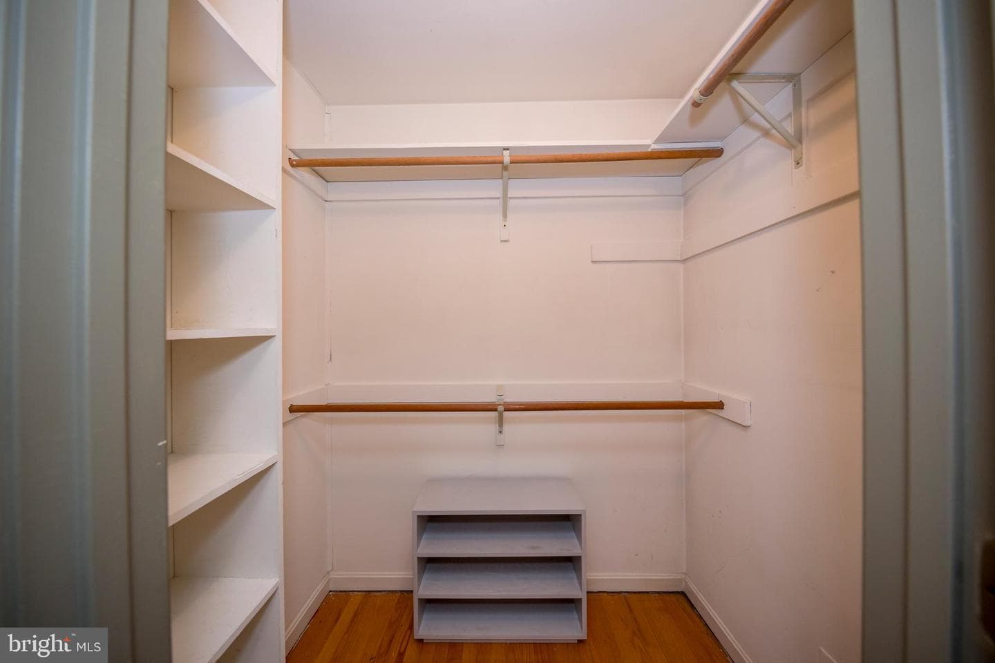4300 Camellia photo 27