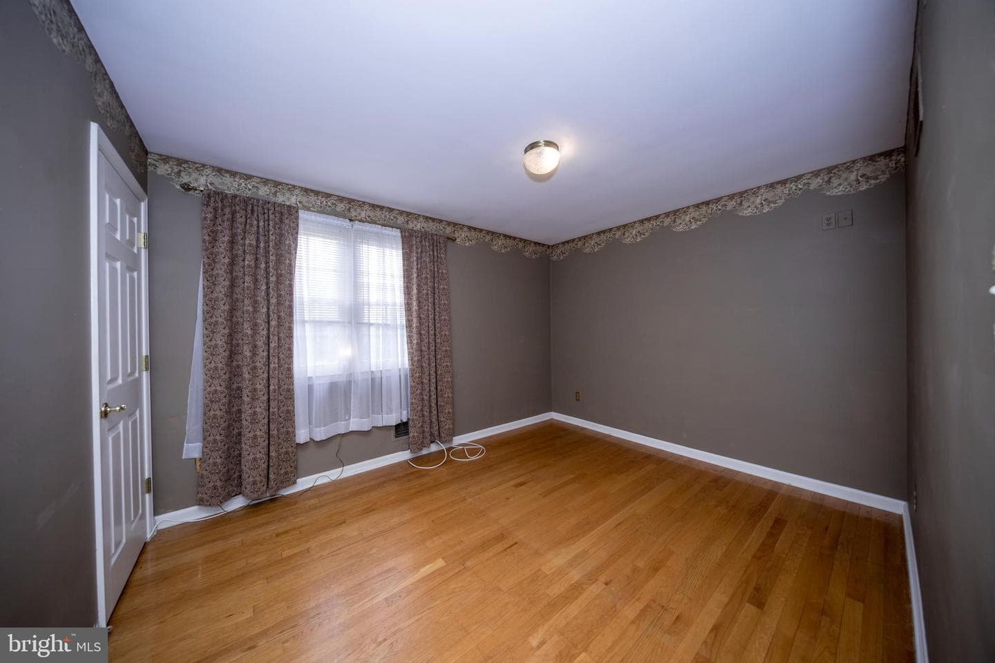 4300 Camellia photo 28