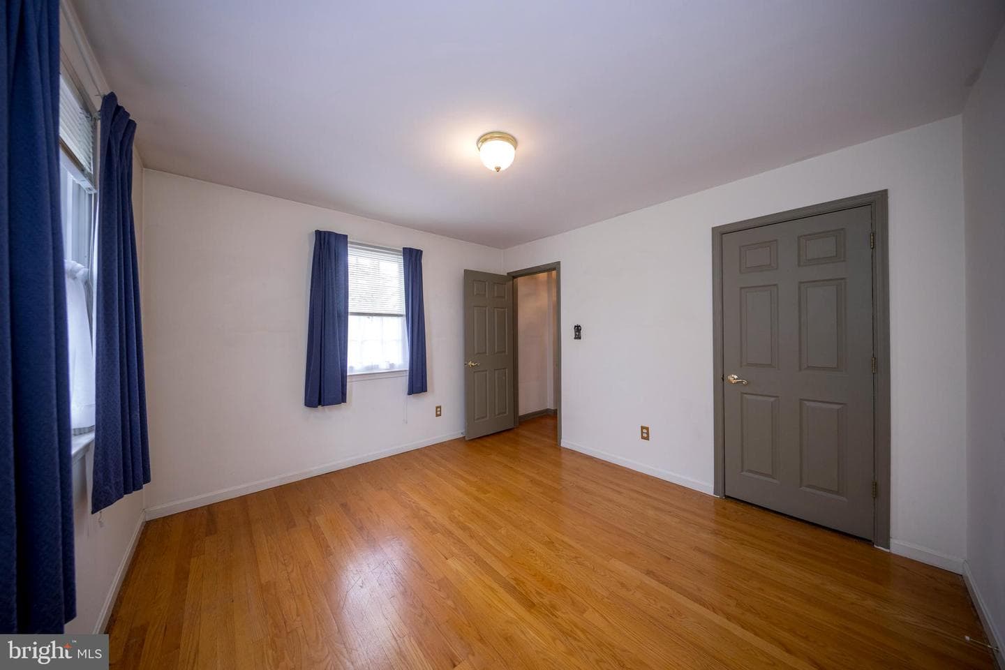 4300 Camellia photo 32