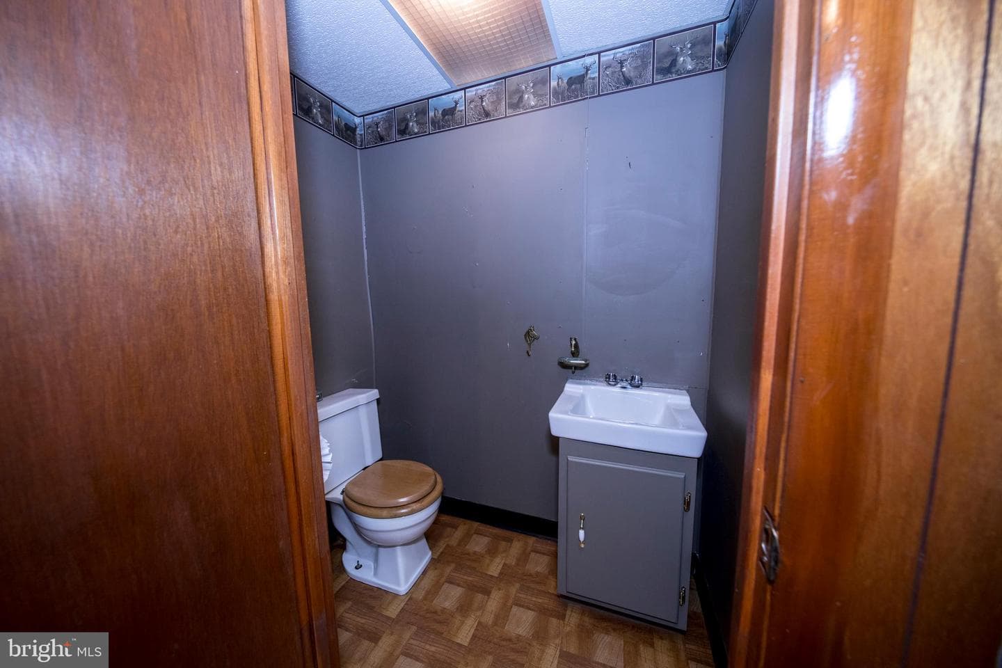 4300 Camellia photo 39