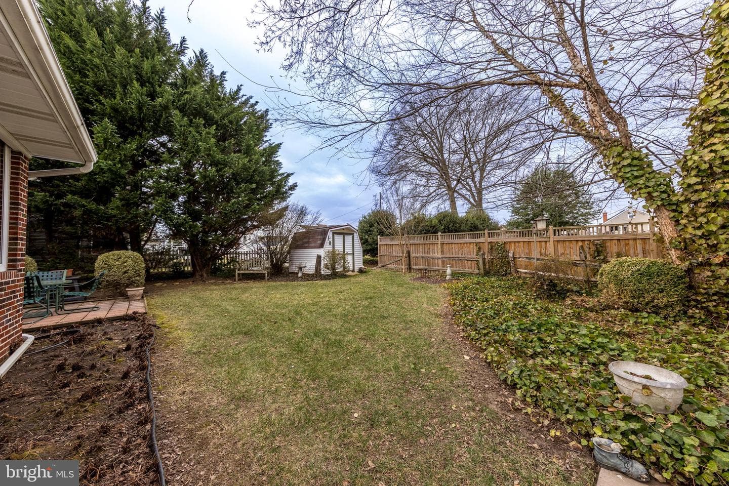 4300 Camellia photo 43