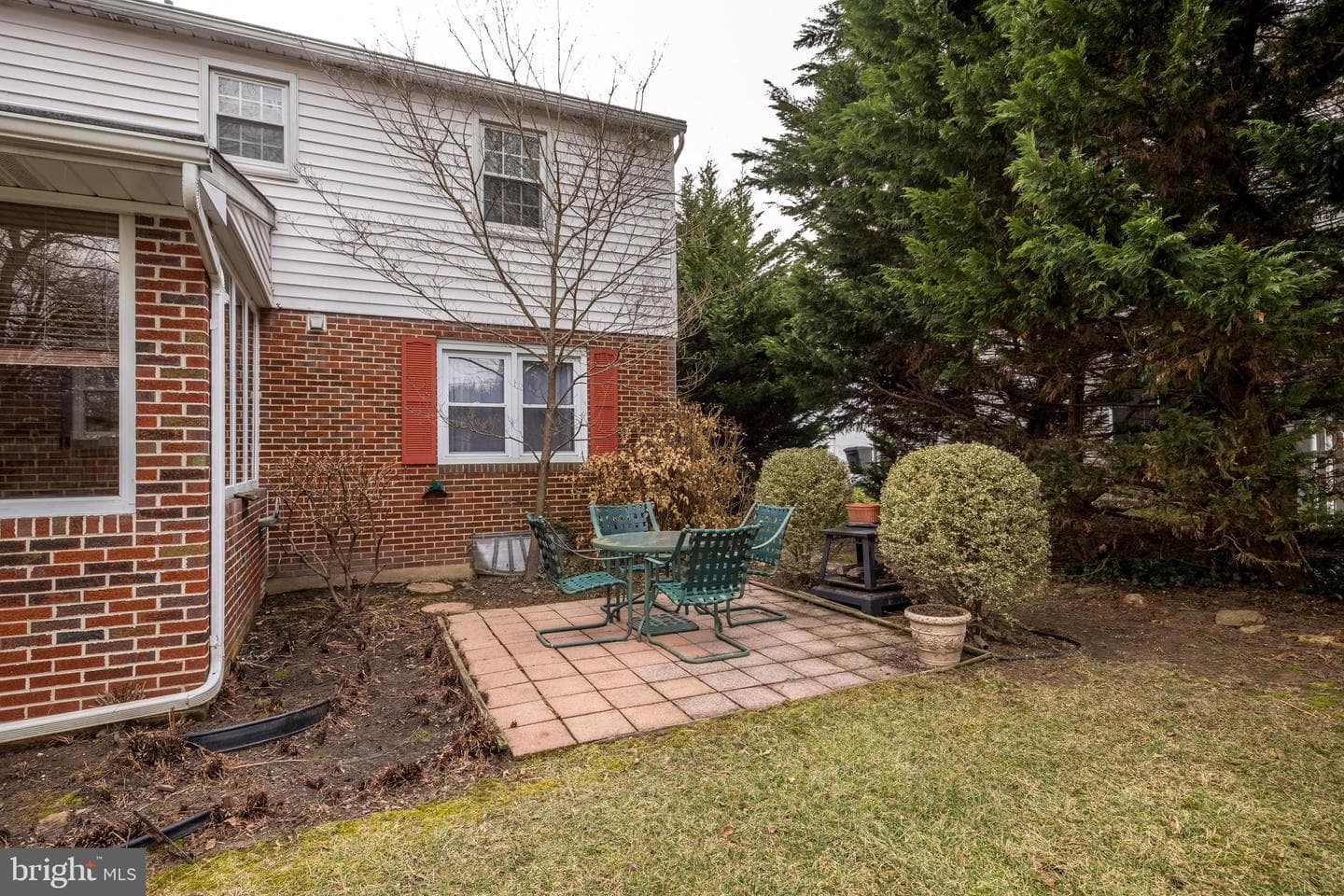 4300 Camellia photo 44