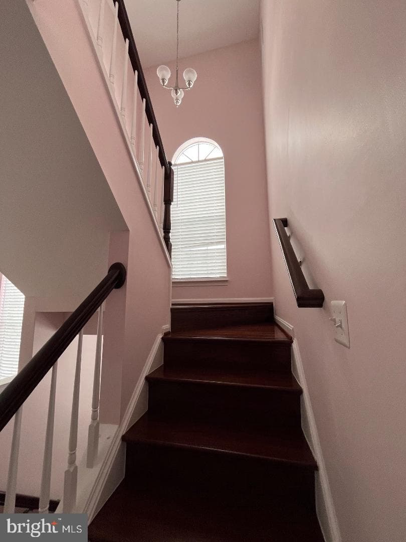 1 Rumsford Court photo 9