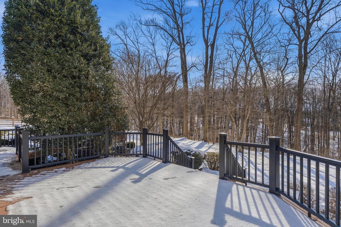 5 Holly Berry Court photo 59