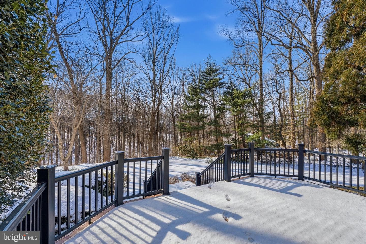 5 Holly Berry Court photo 60