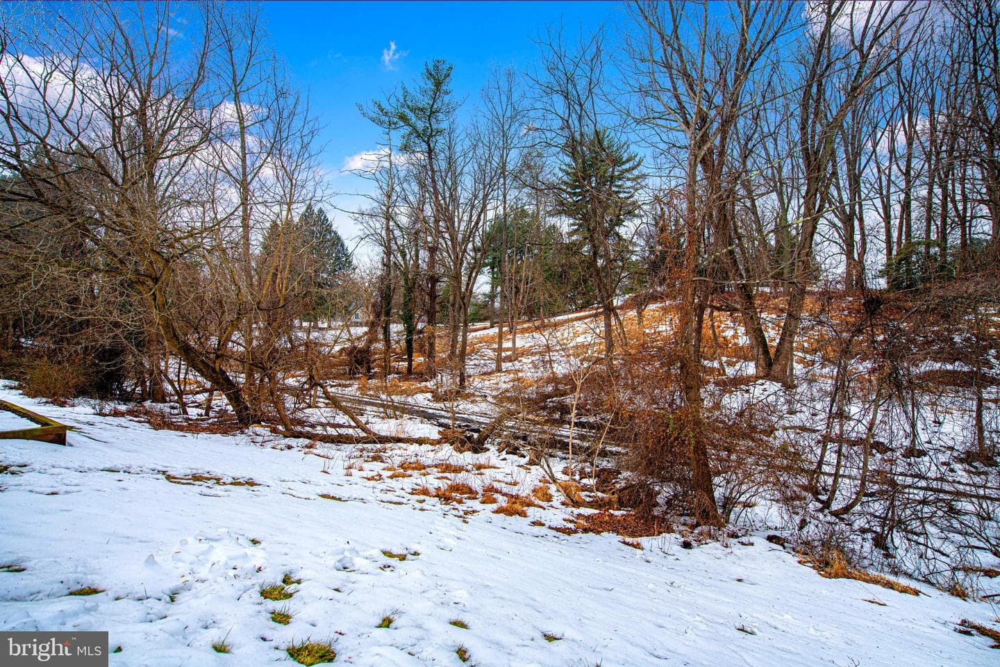 8022 Upperfield Lane photo 34