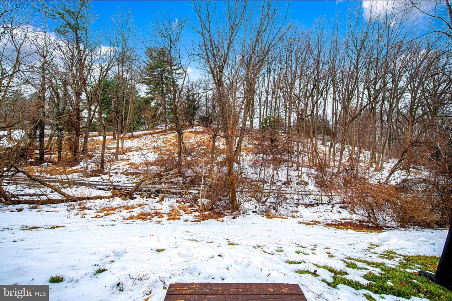 8022 Upperfield Lane photo 35