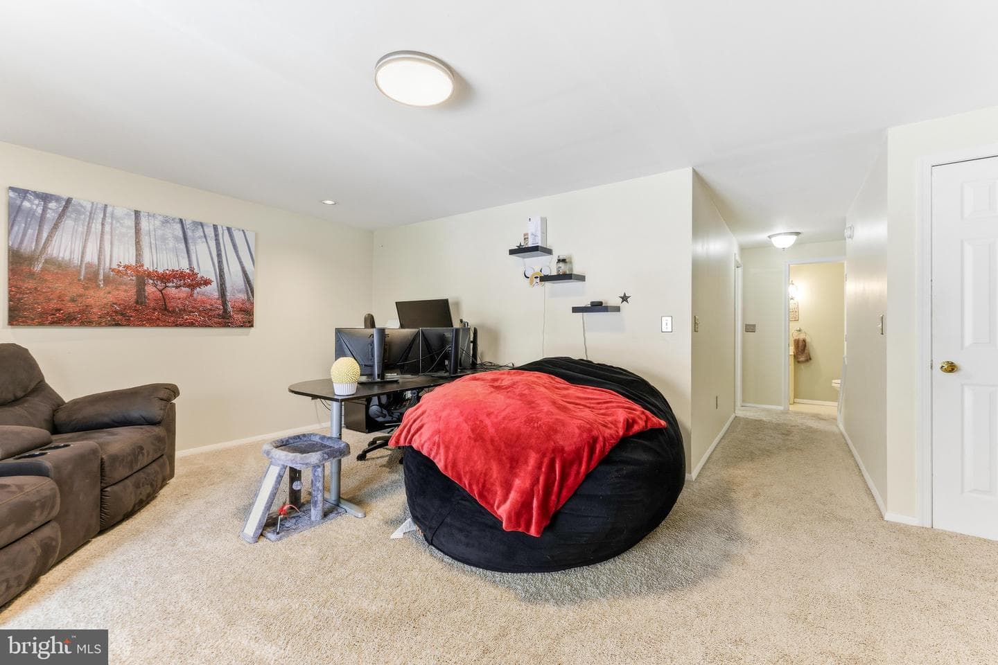 6 Campton Court photo 20