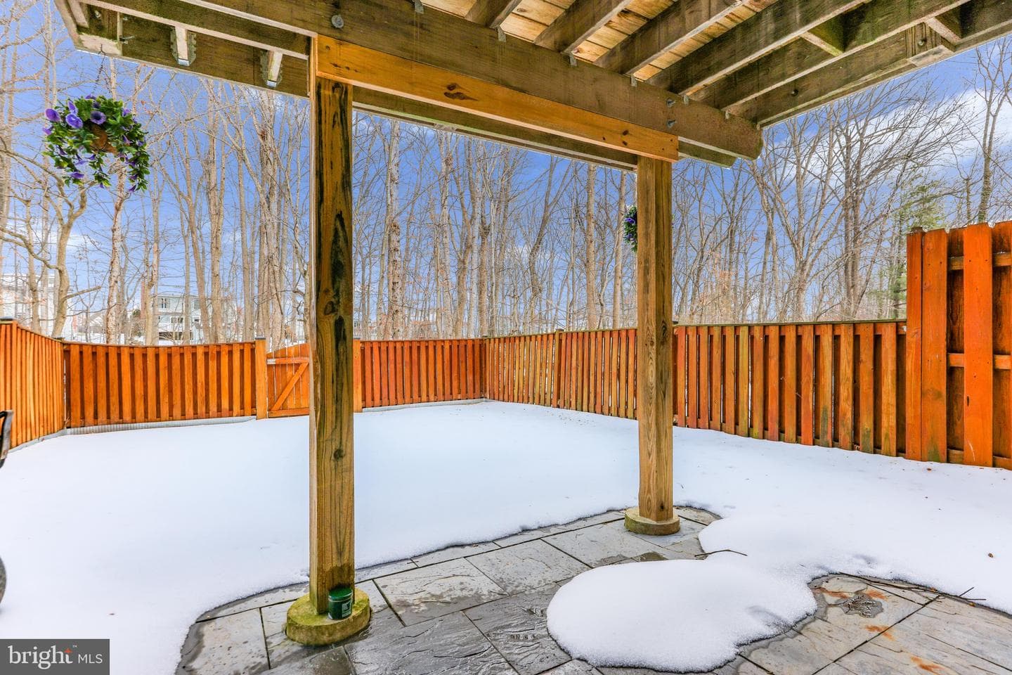 6 Campton Court photo 24