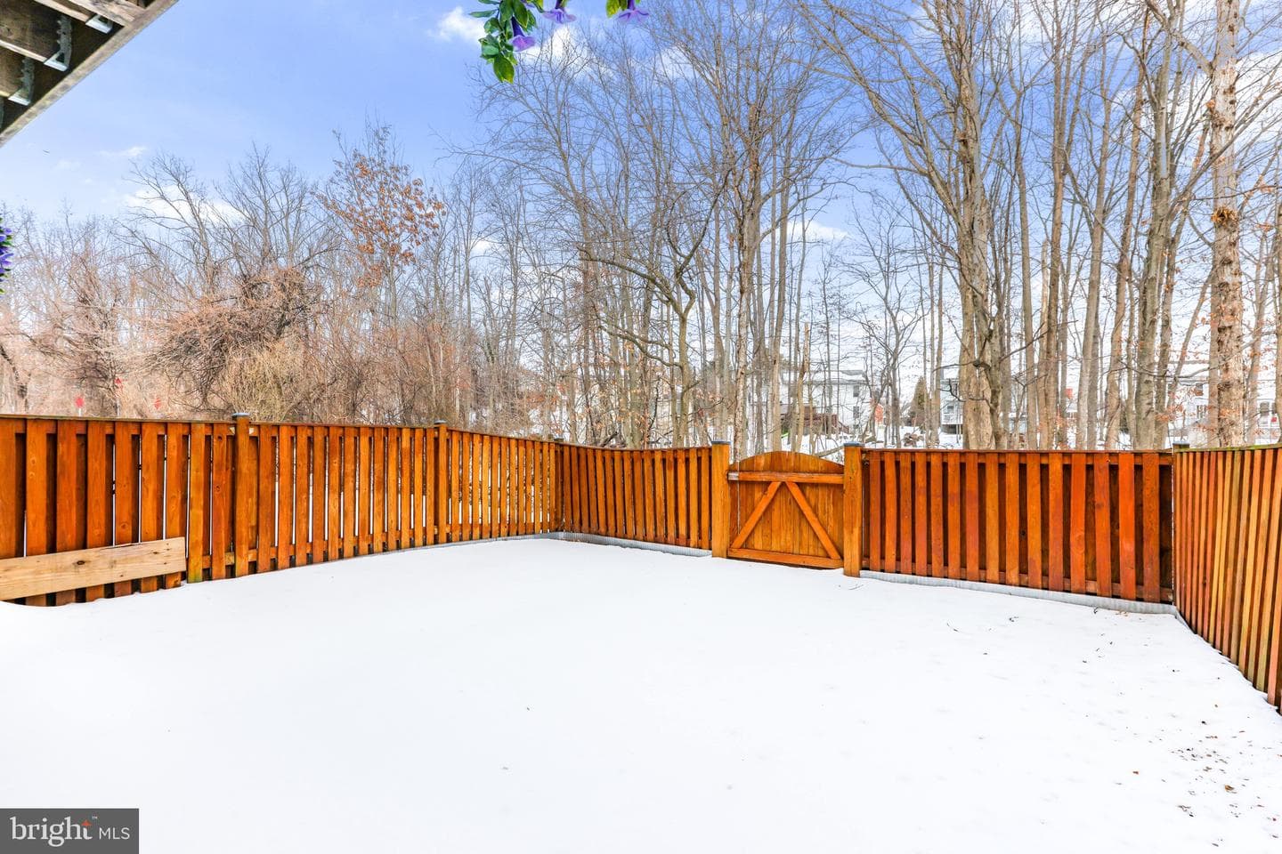 6 Campton Court photo 27