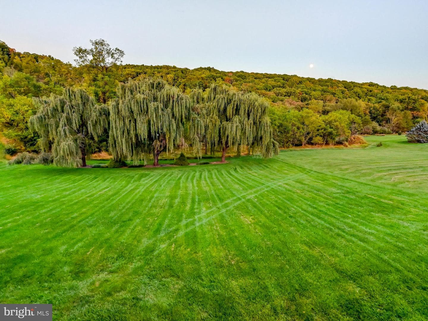900 Zenith Drive photo 32