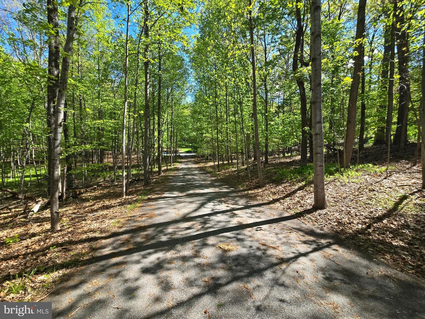 13 Brian Daniel Ct photo 62
