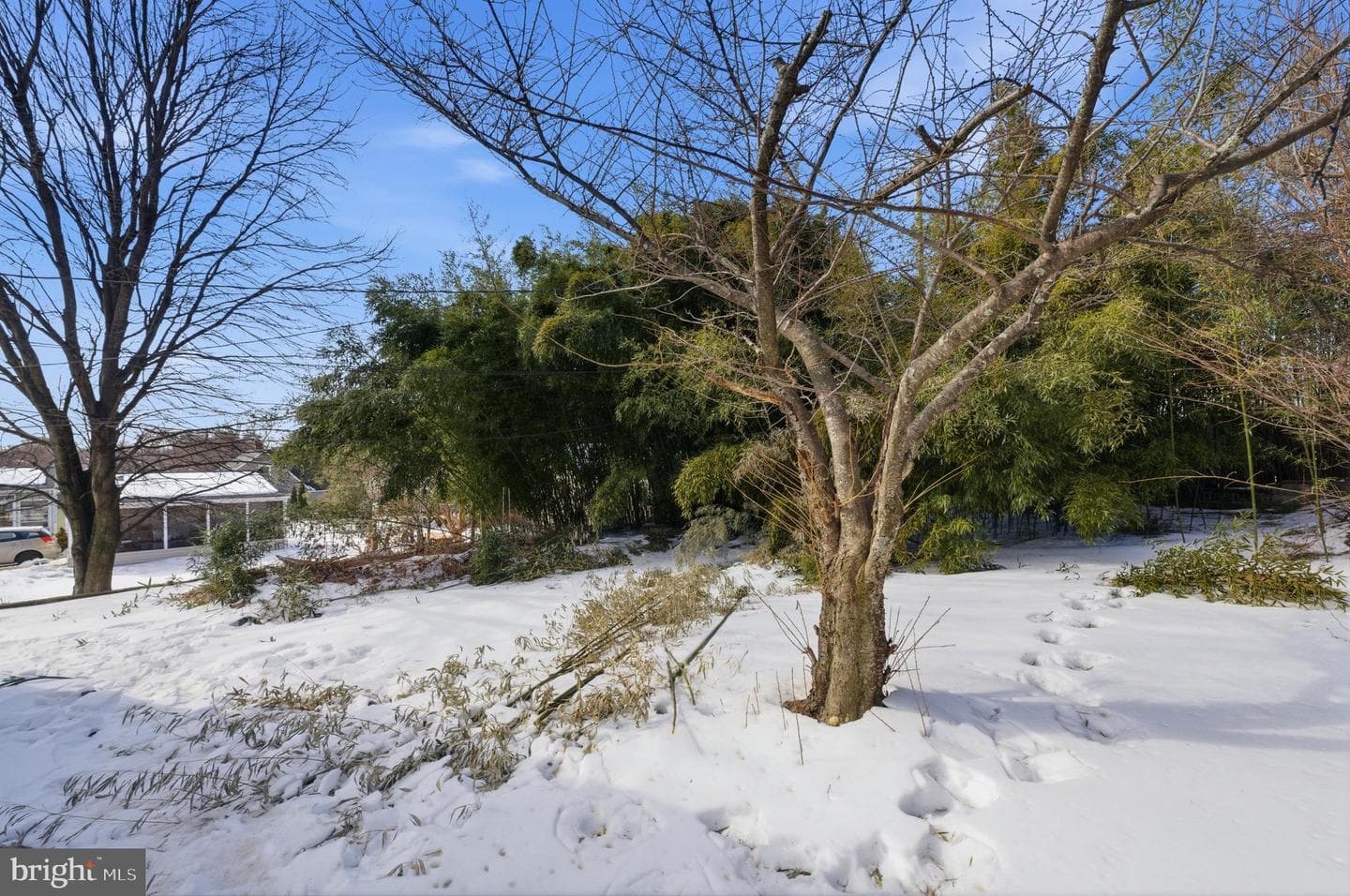 8220 Bon Air photo 49