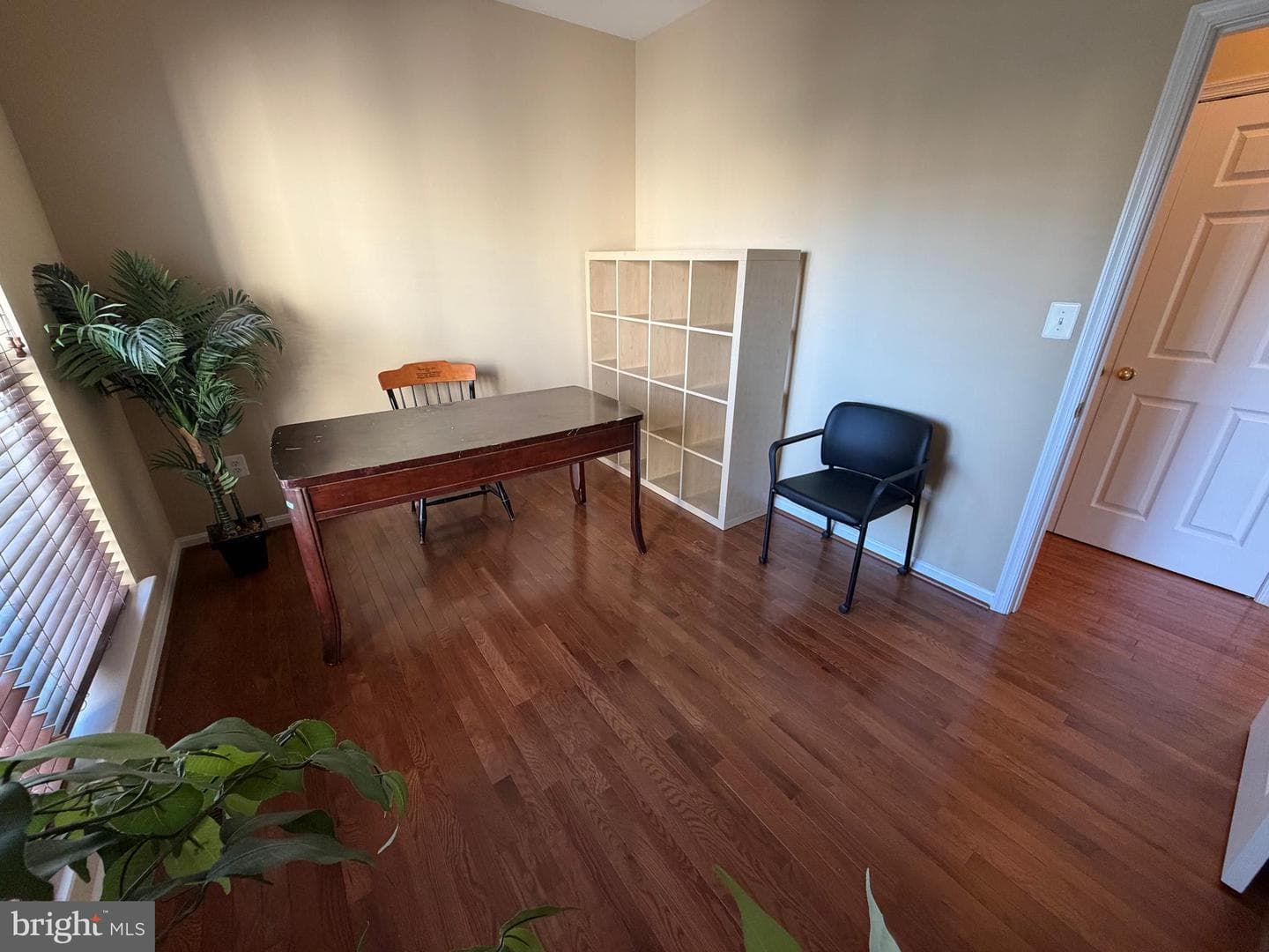 9307 Georgia Belle Drive photo 20
