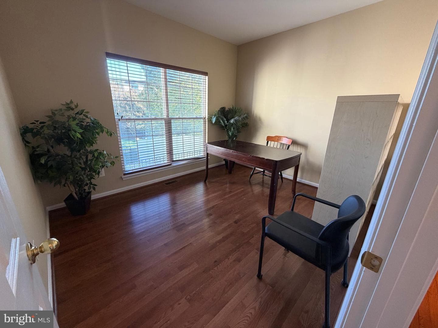 9307 Georgia Belle Drive photo 21