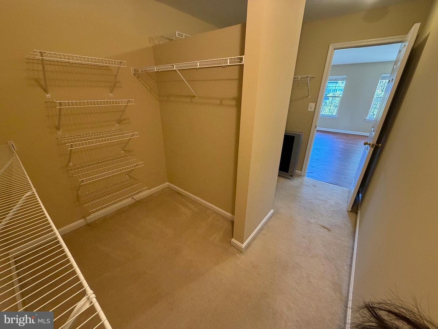 9307 Georgia Belle Drive photo 27