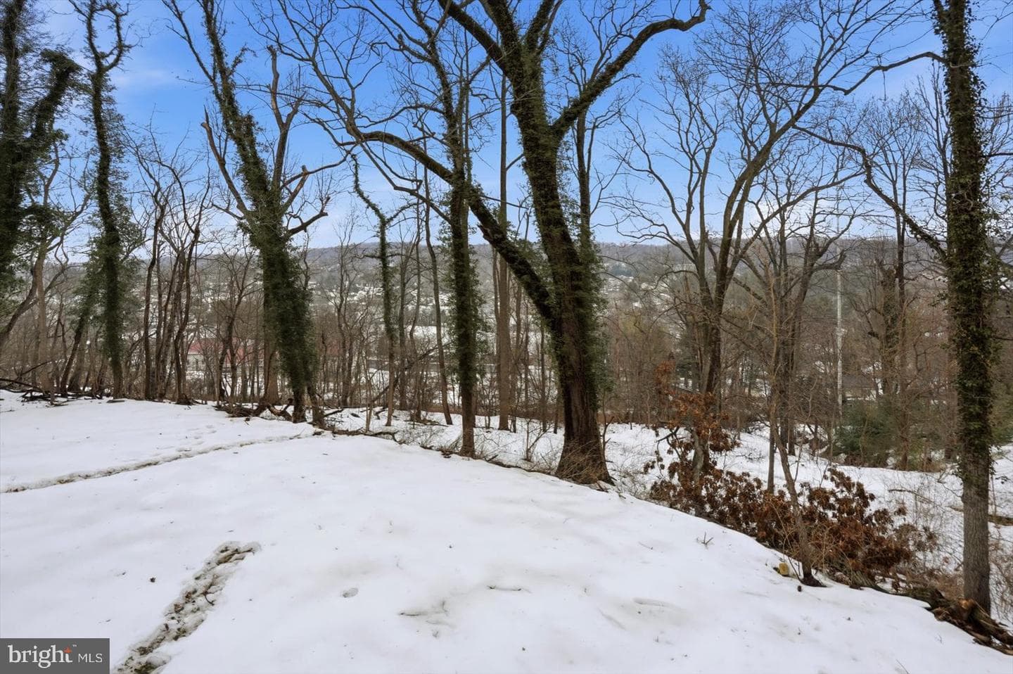 8820 Littlewood Road photo 41