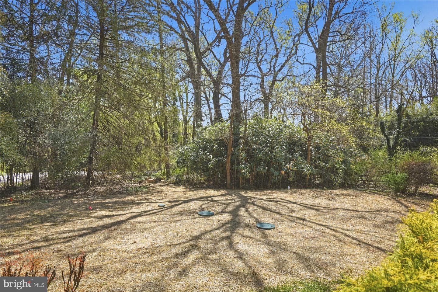 10634 Park Heights Avenue photo 51