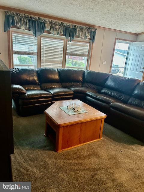 3202 Foxglove Lane, Middle River