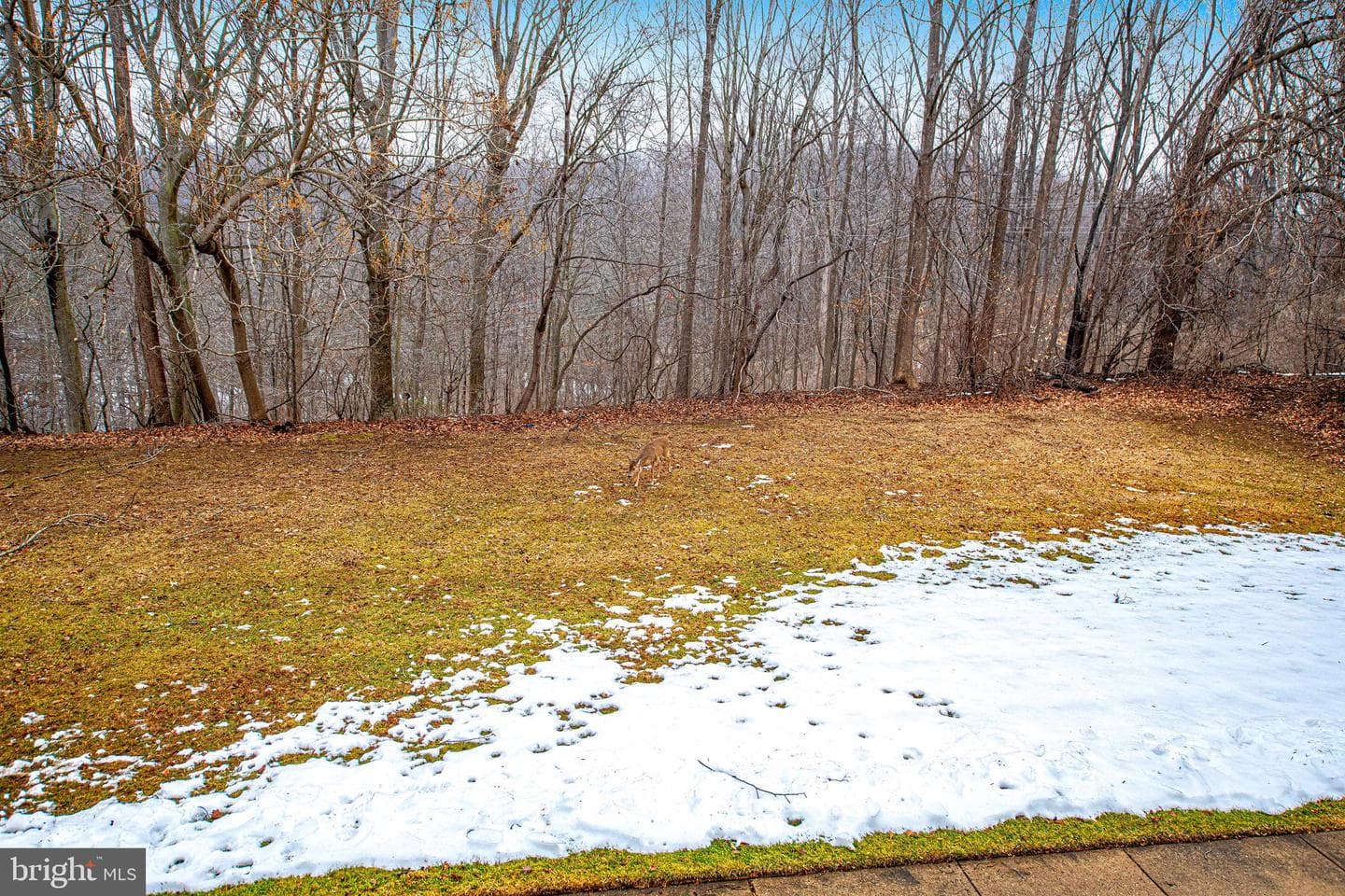 150 Jumpers Circle #189 photo 24