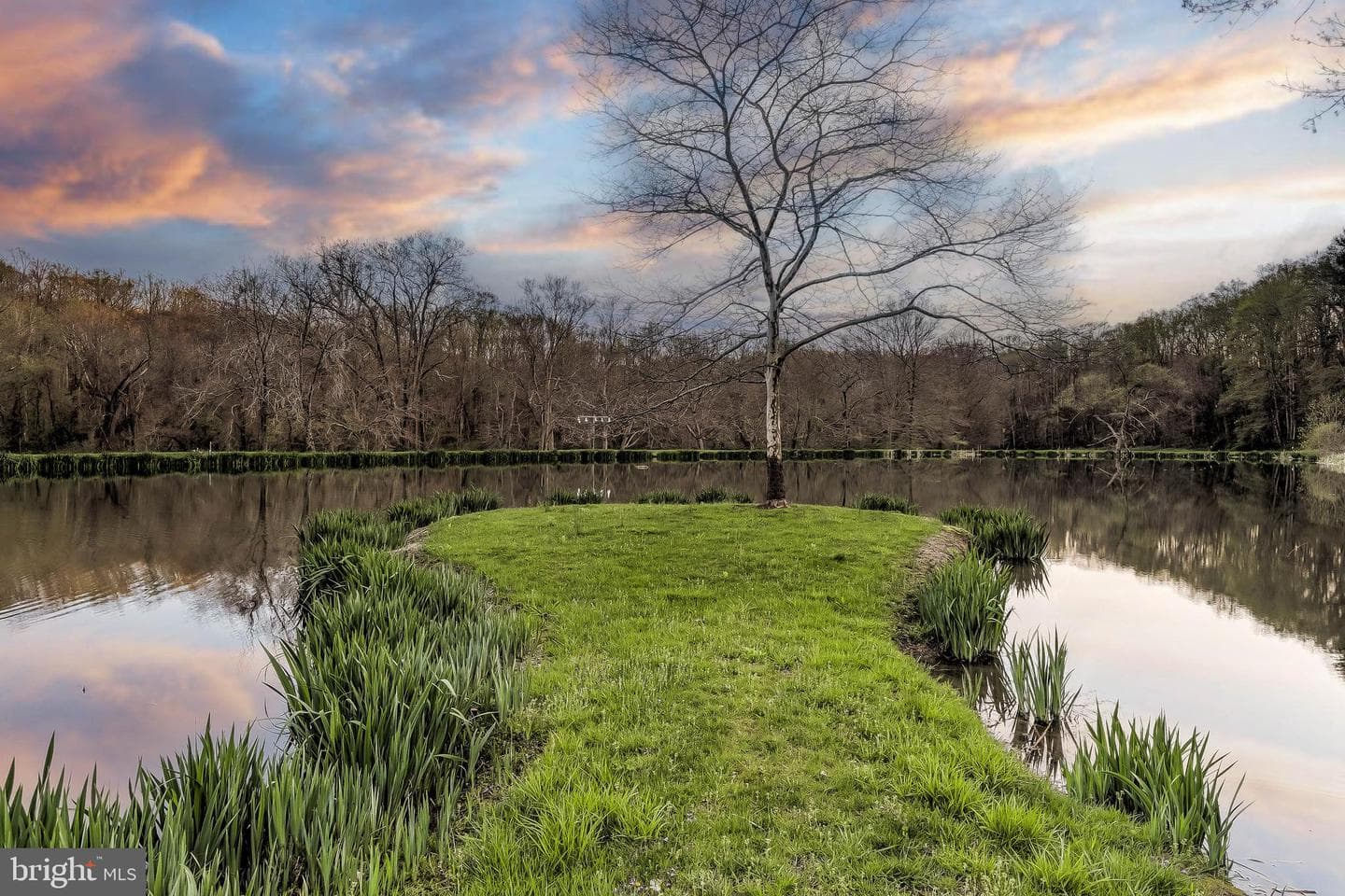 1449 Corbett Road photo 4