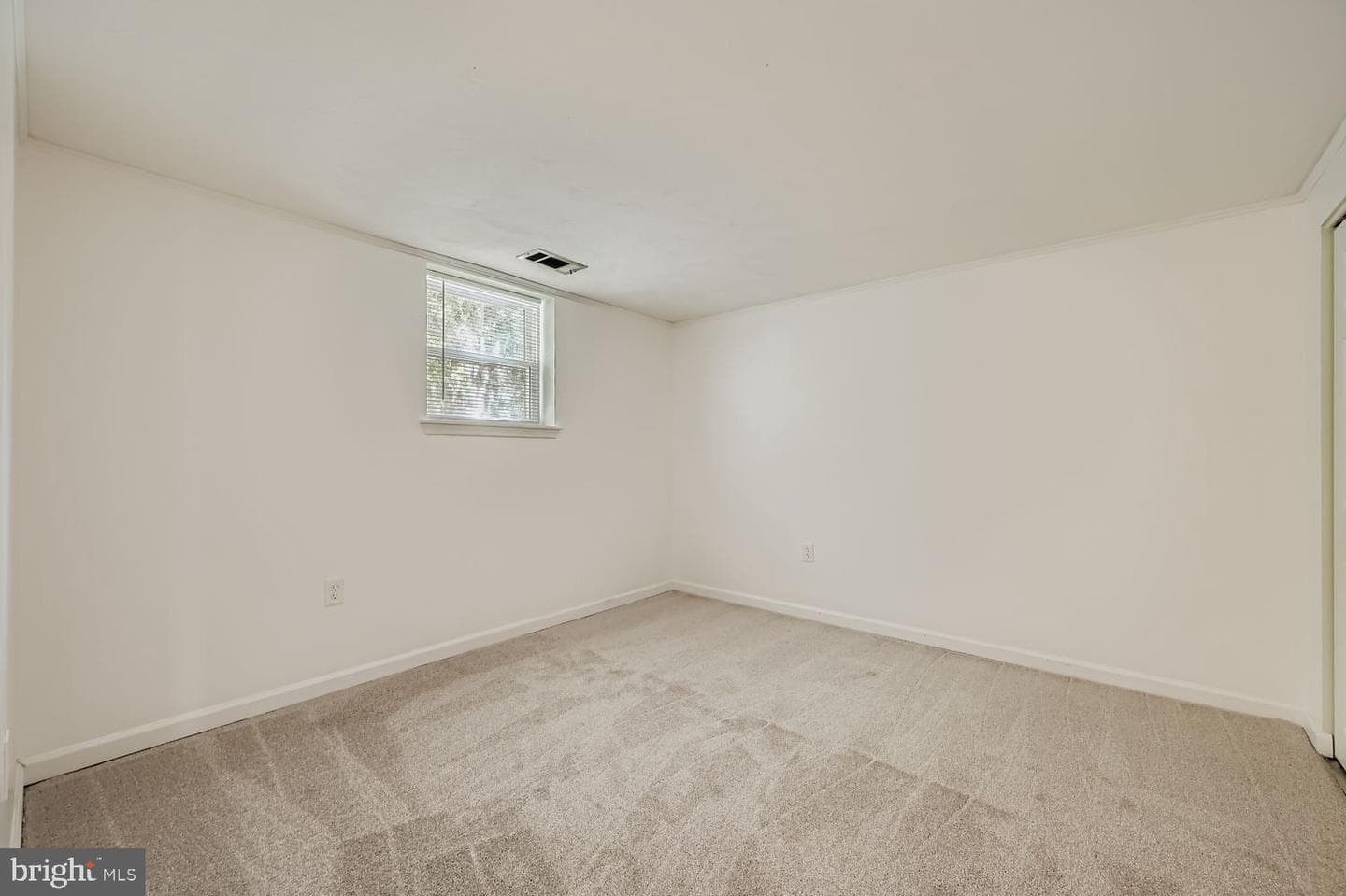 231 Candytuft Road photo 28