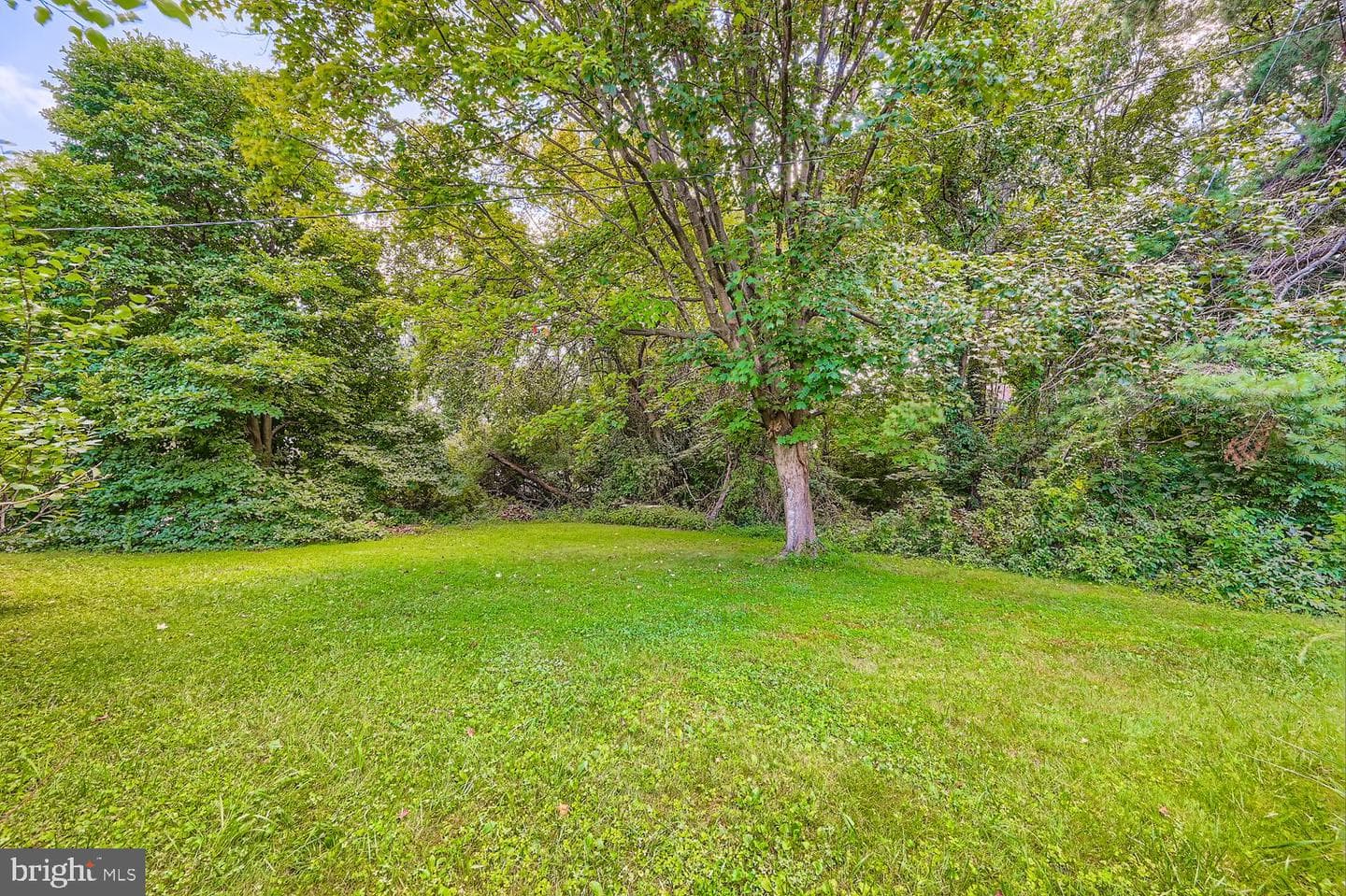 231 Candytuft Road photo 35