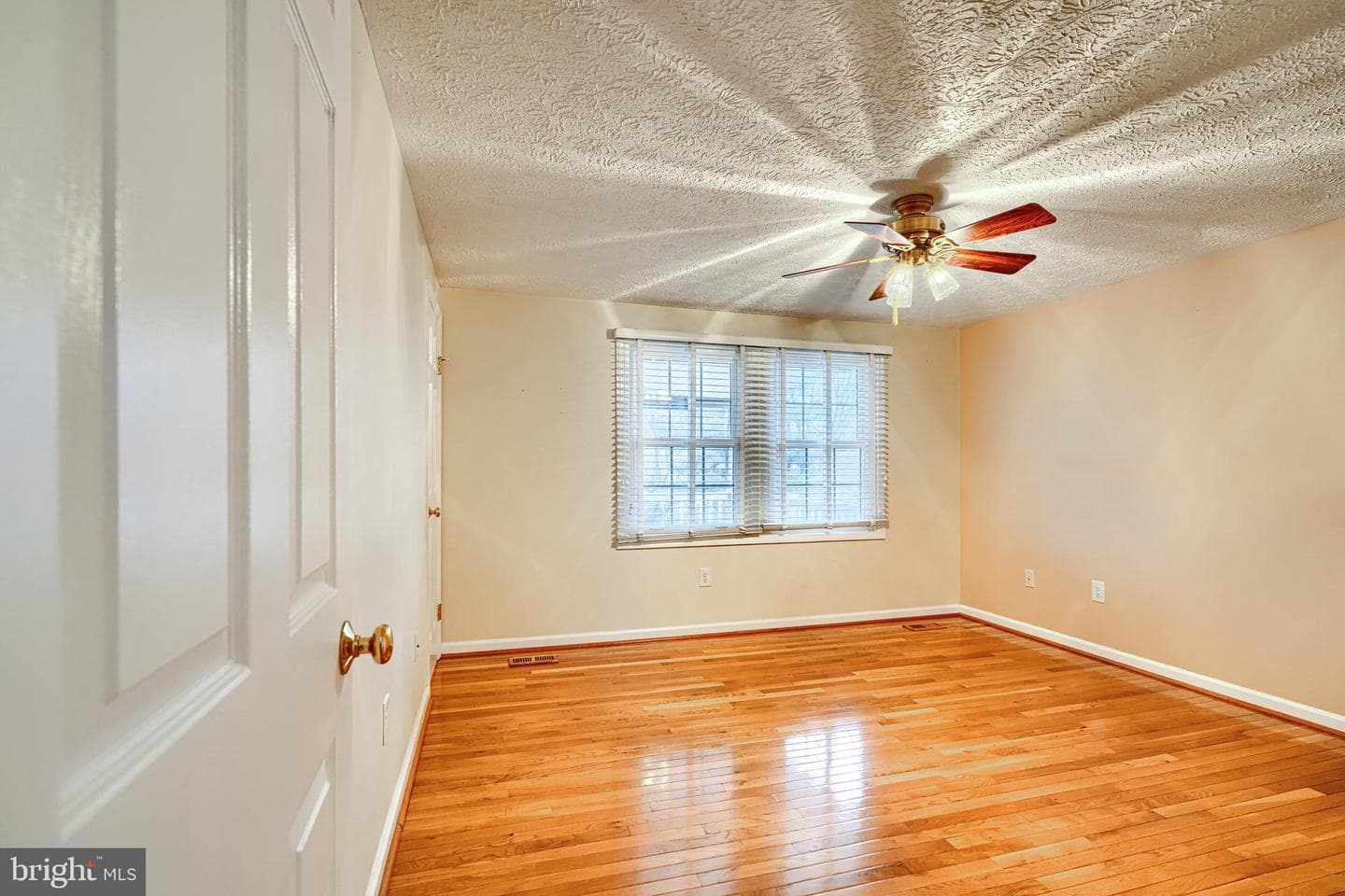 8908 Golden Tree Lane photo 12