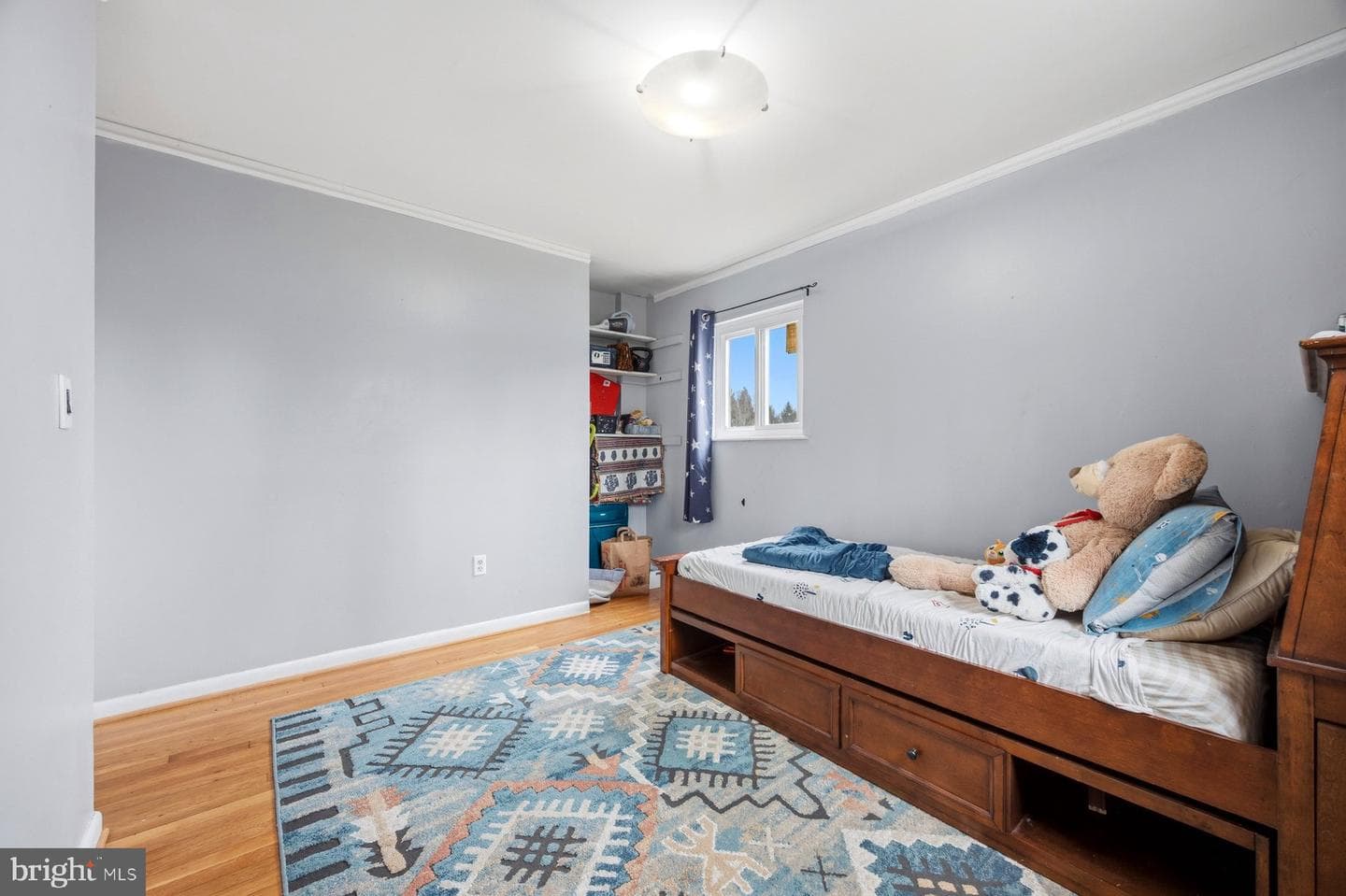 1204 Canberwell Road photo 18