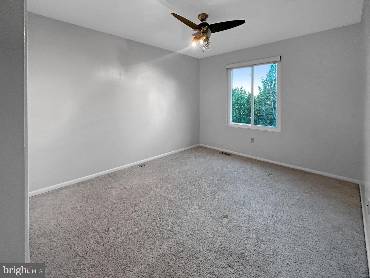 1 Glyndale Court photo 15