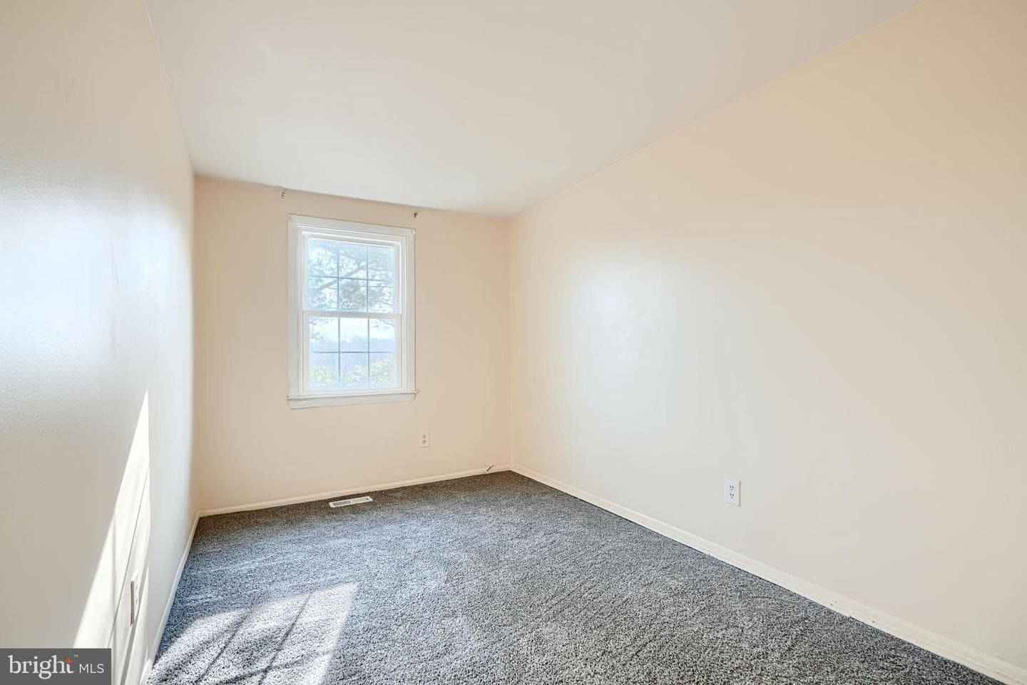 3 Slavin Court #2k photo 21