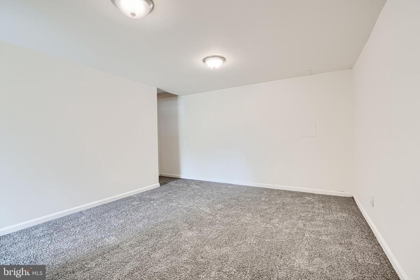3 Slavin Court #2k photo 29