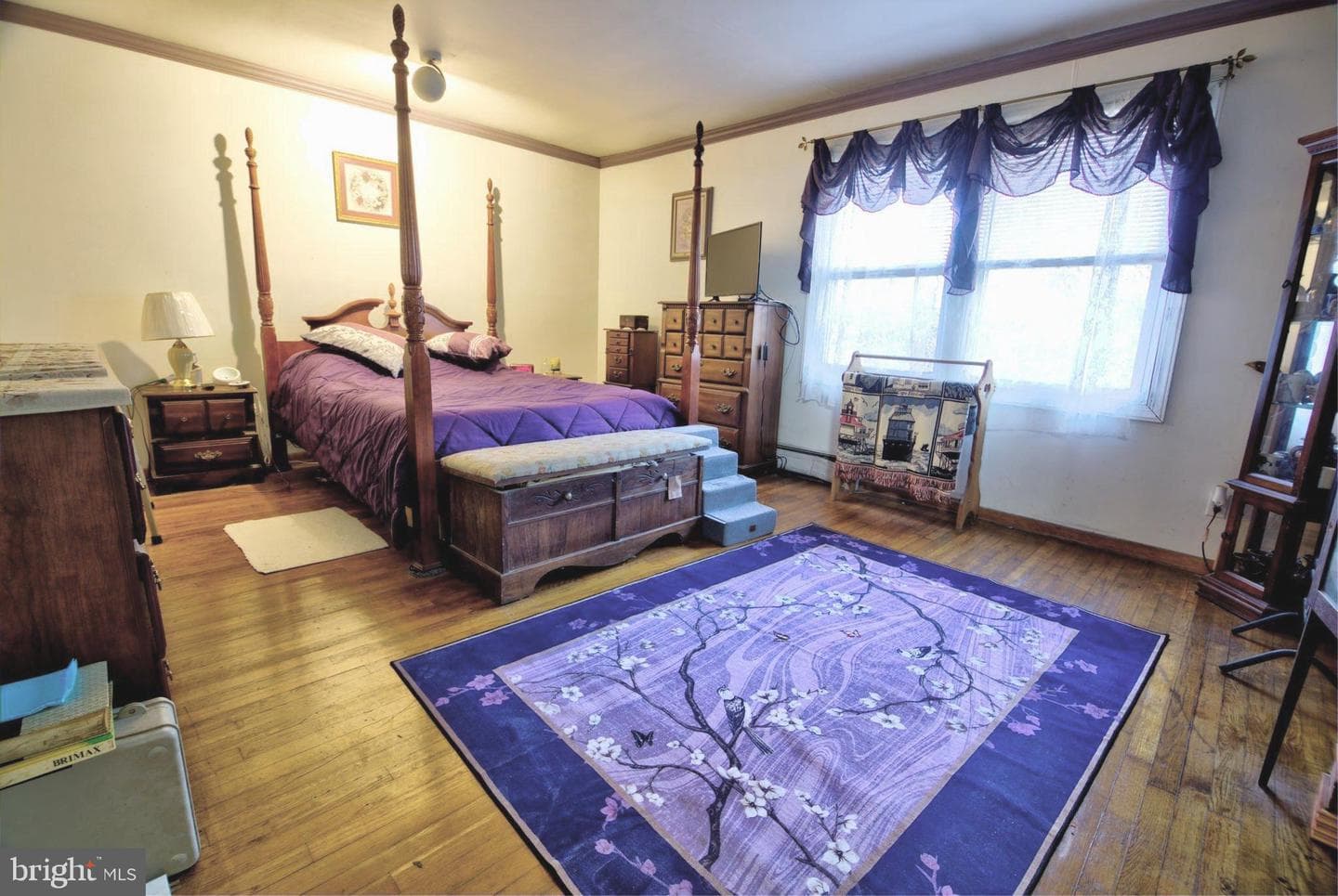 238 Elizabeth Avenue photo 19
