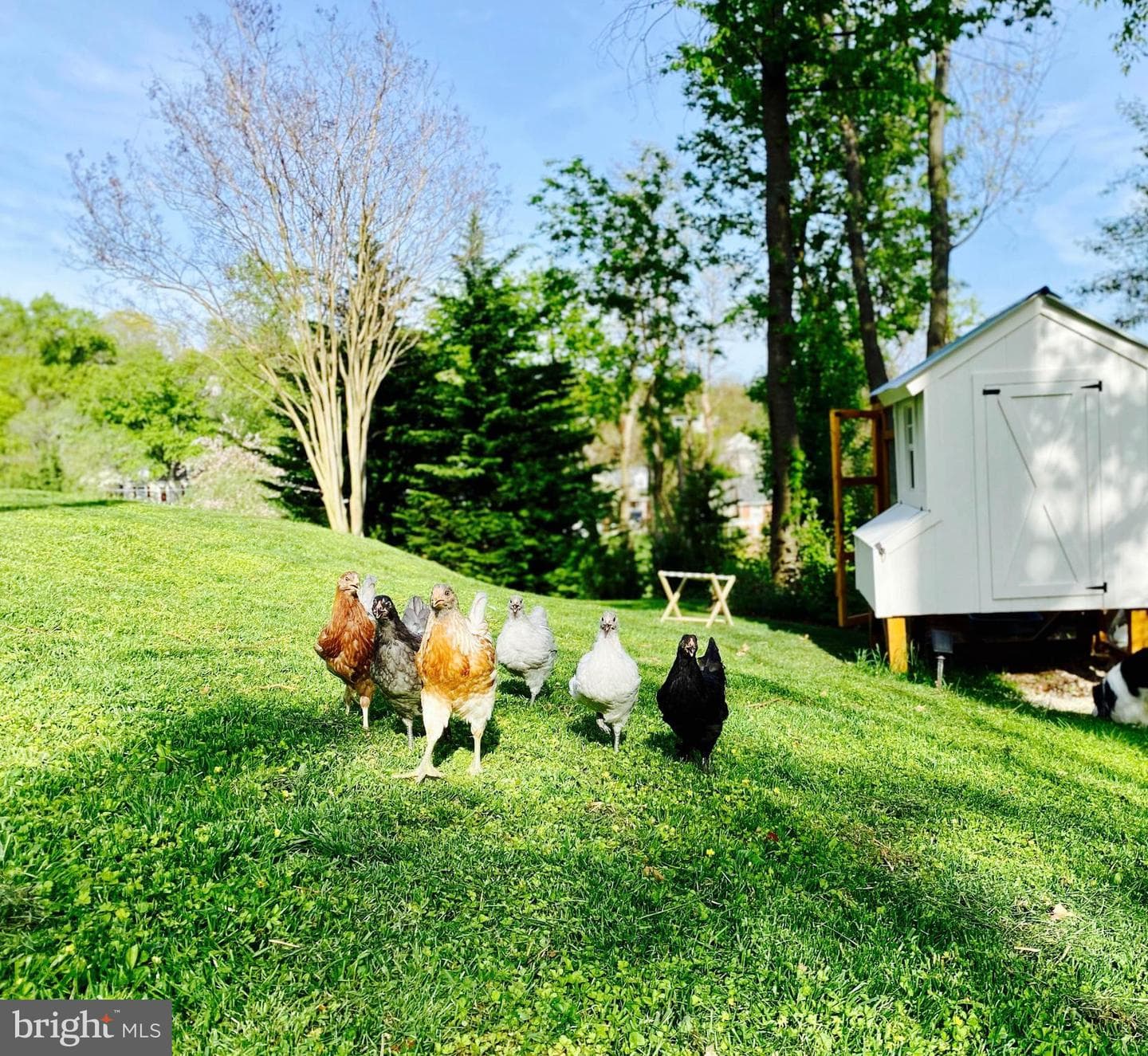 10519 Samona Avenue photo 36