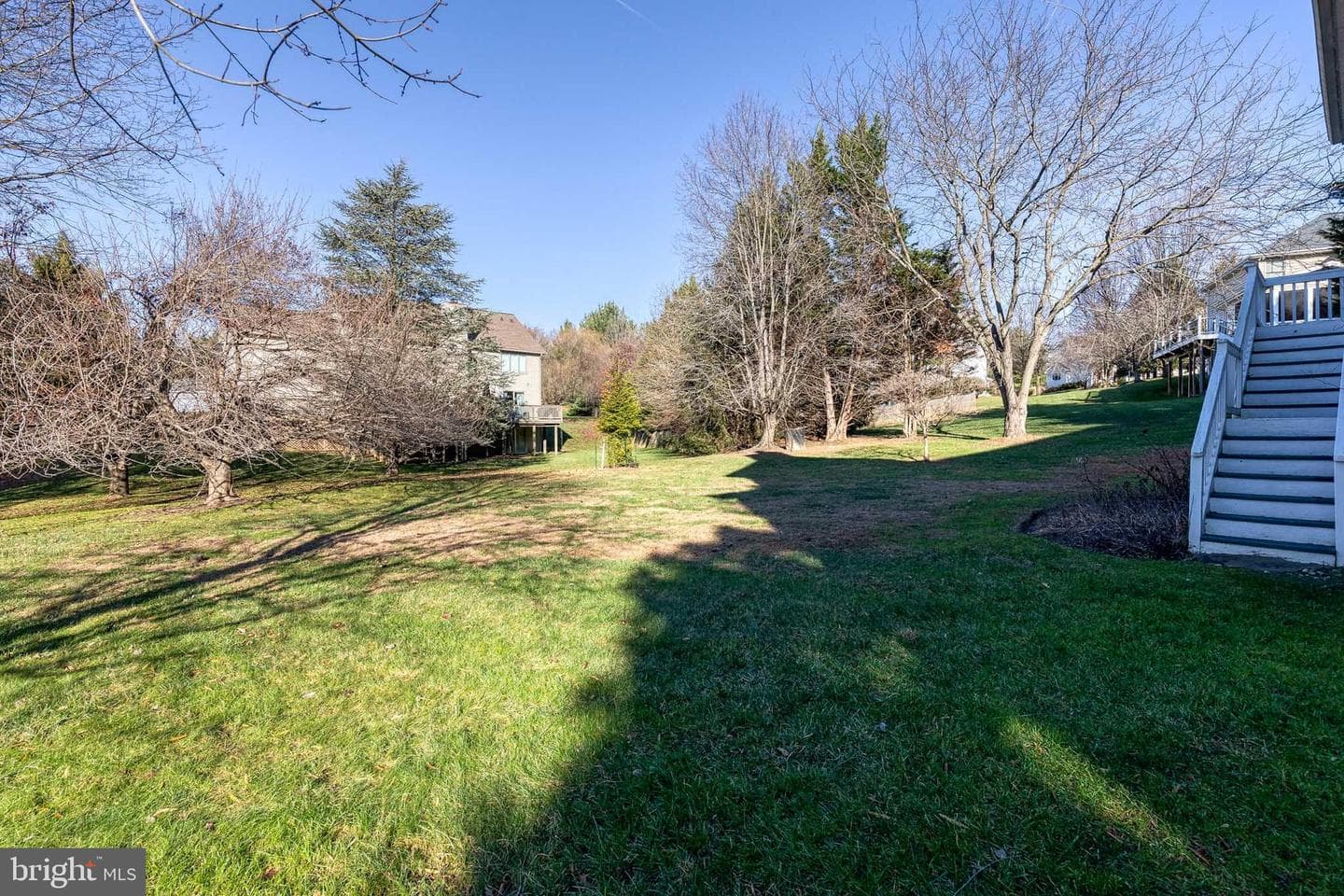 50 Beecham Court photo 52