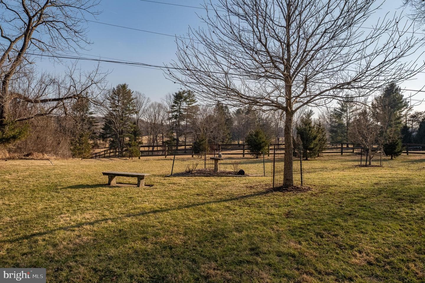 14240 Cuba Road photo 95