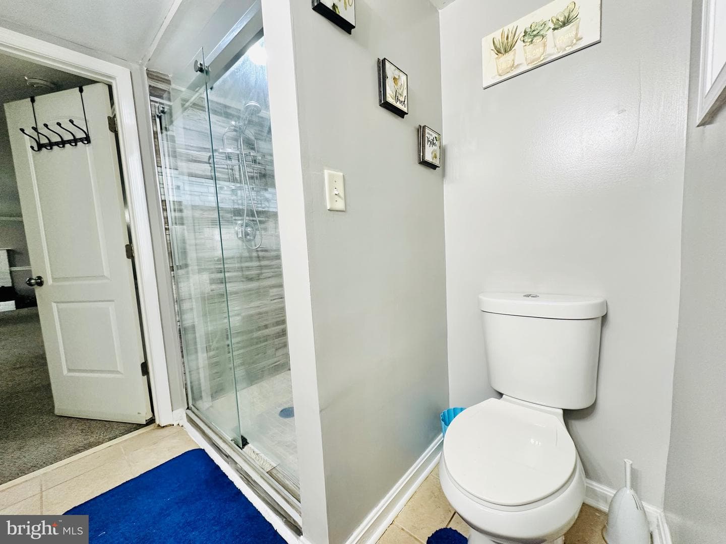 3911 Southern Cross Drive photo 53