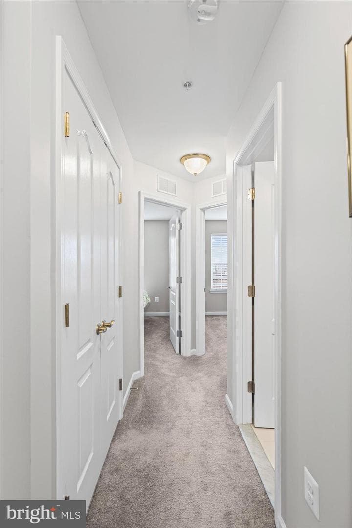 9442 Adelaide photo 25