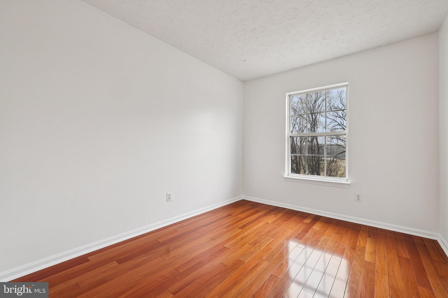 159 Carolstowne Road photo 24