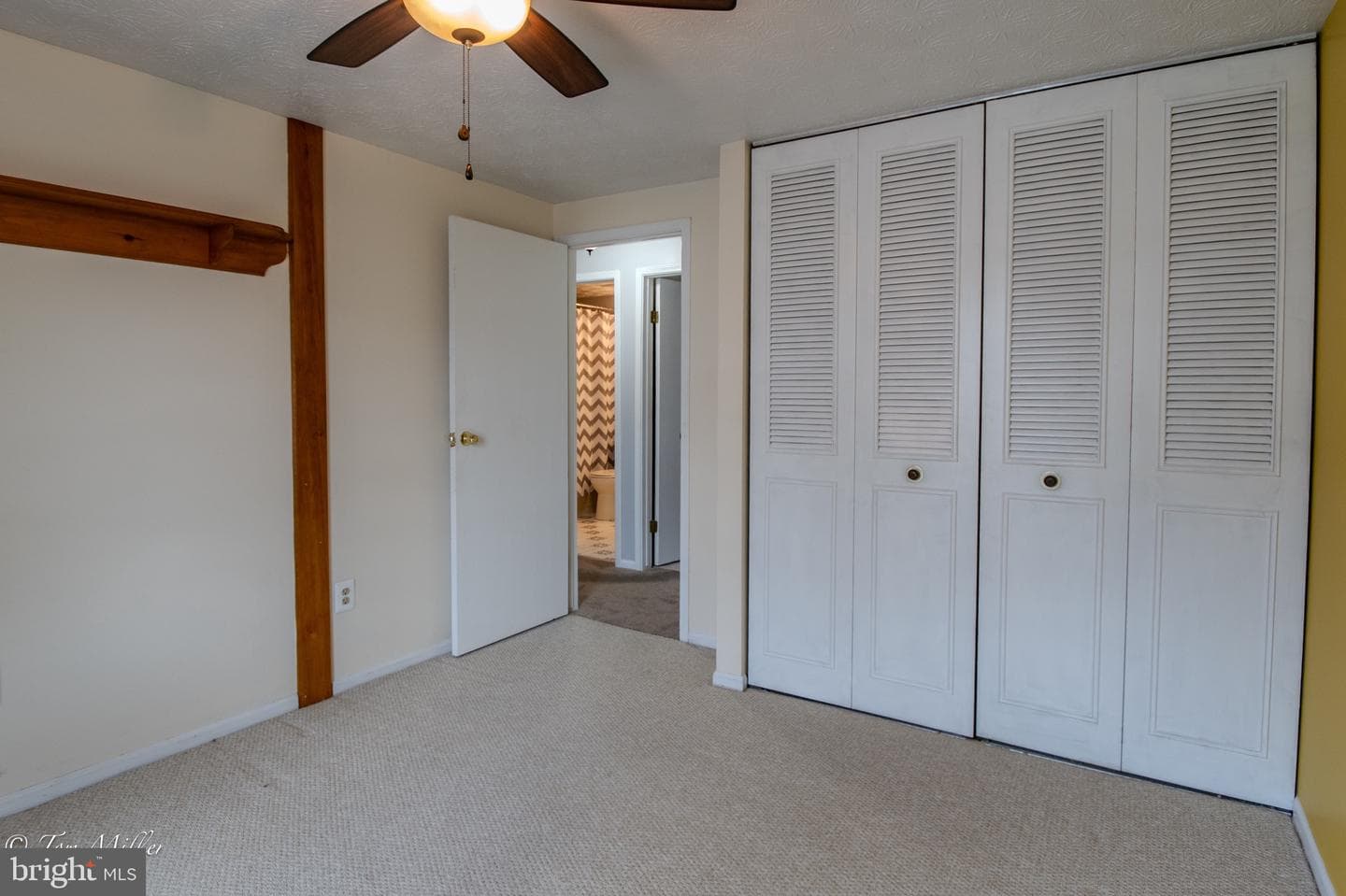 8802 Golden Tree Lane photo 16